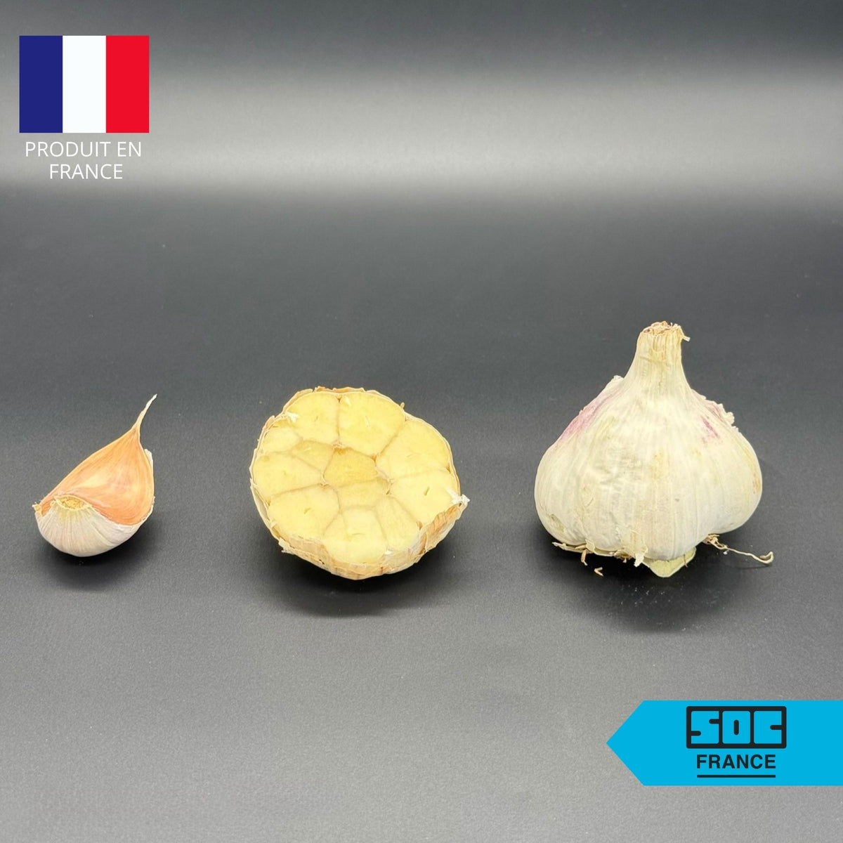 Semence d'ail Non-traité - Germidour 50/60 en sac de 20 kg