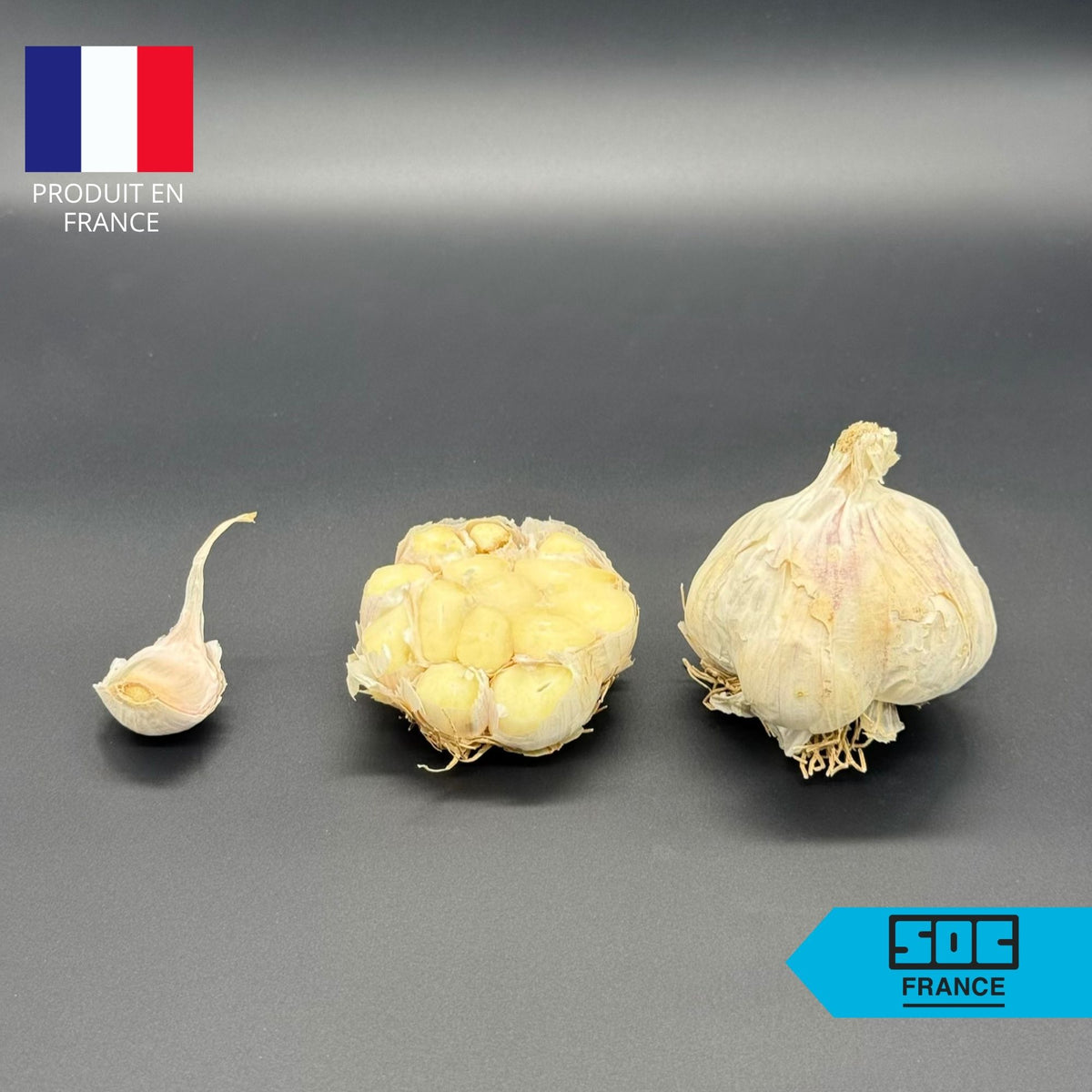 Semence d'ail Non-traité - Thérador 60+ en sac de 20 kg