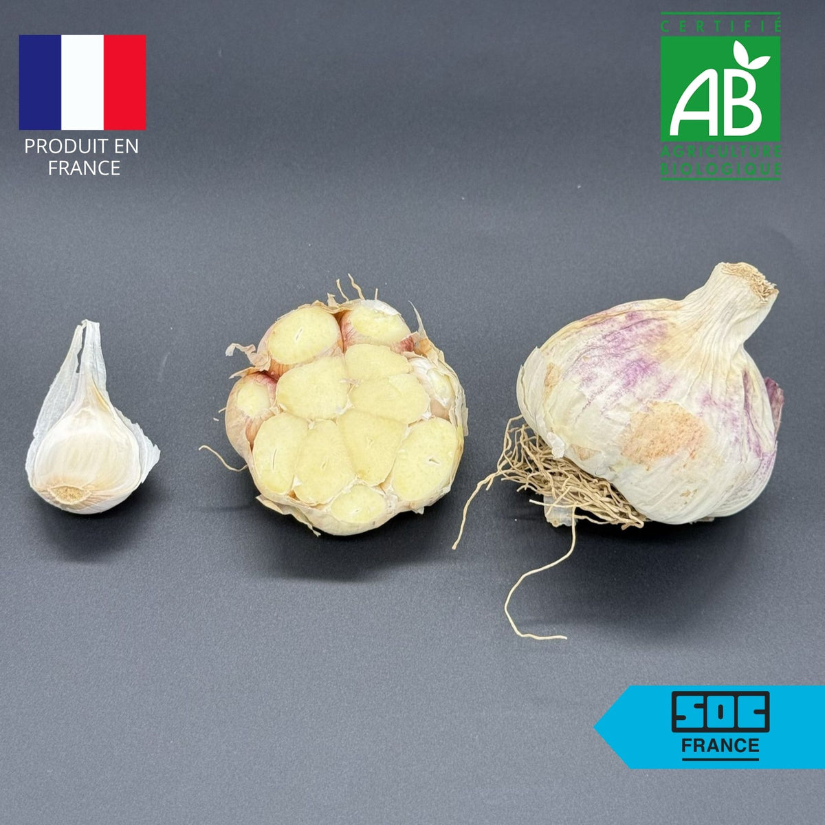 Semence d'ail certifié - Thermidôme 50/60 en sac de 5kg
