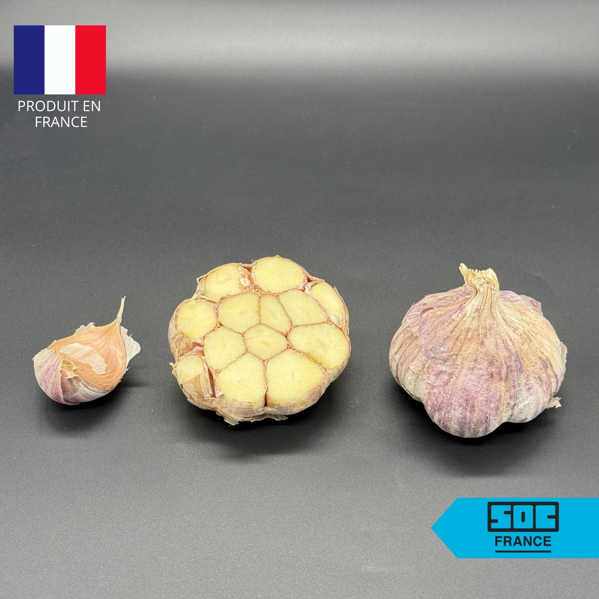 Semence d'ail Non-traité - Germidour 60+ en sac de 20 kg