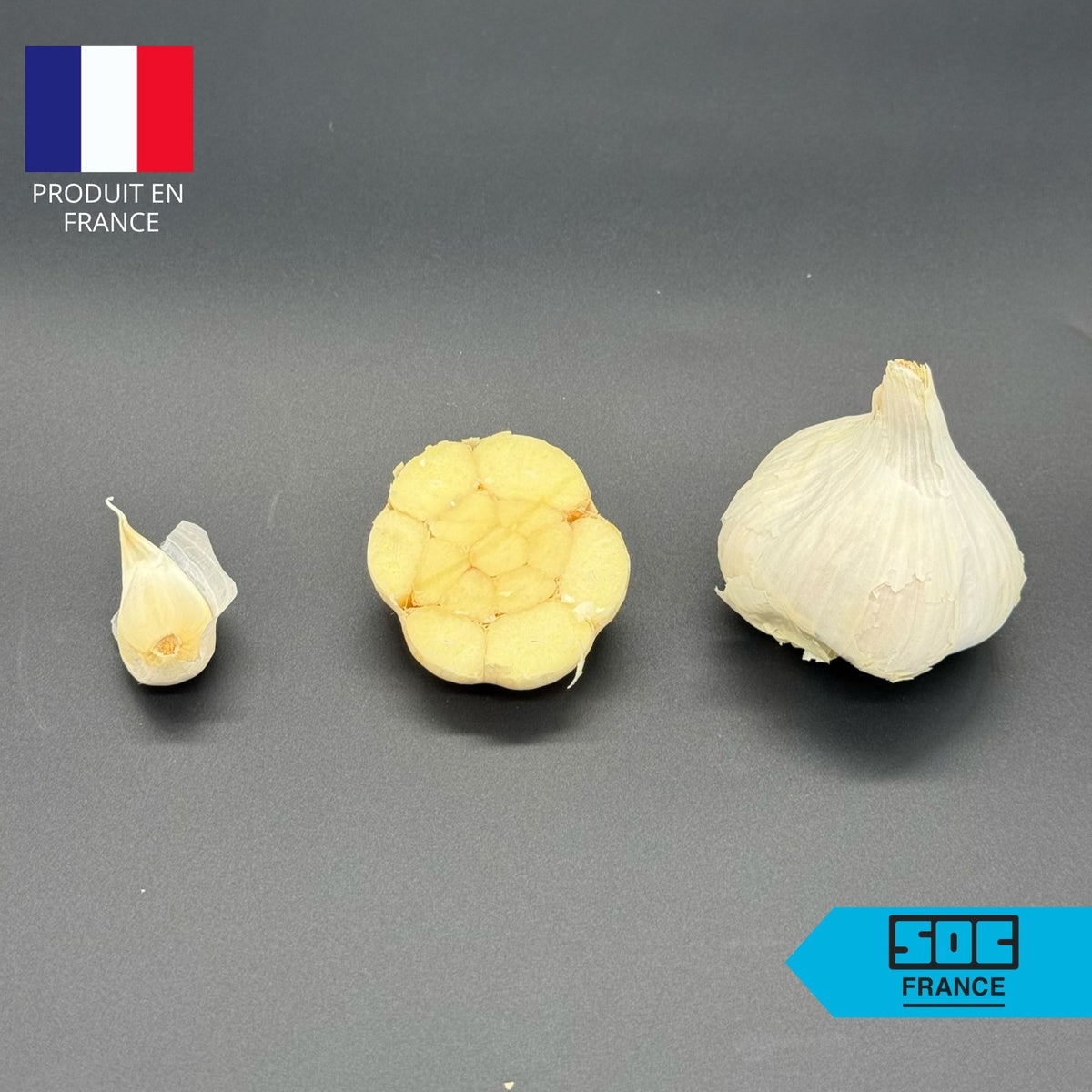 Semence d'ail Non-traité - Messidor 40/50 en sac de 20 kg