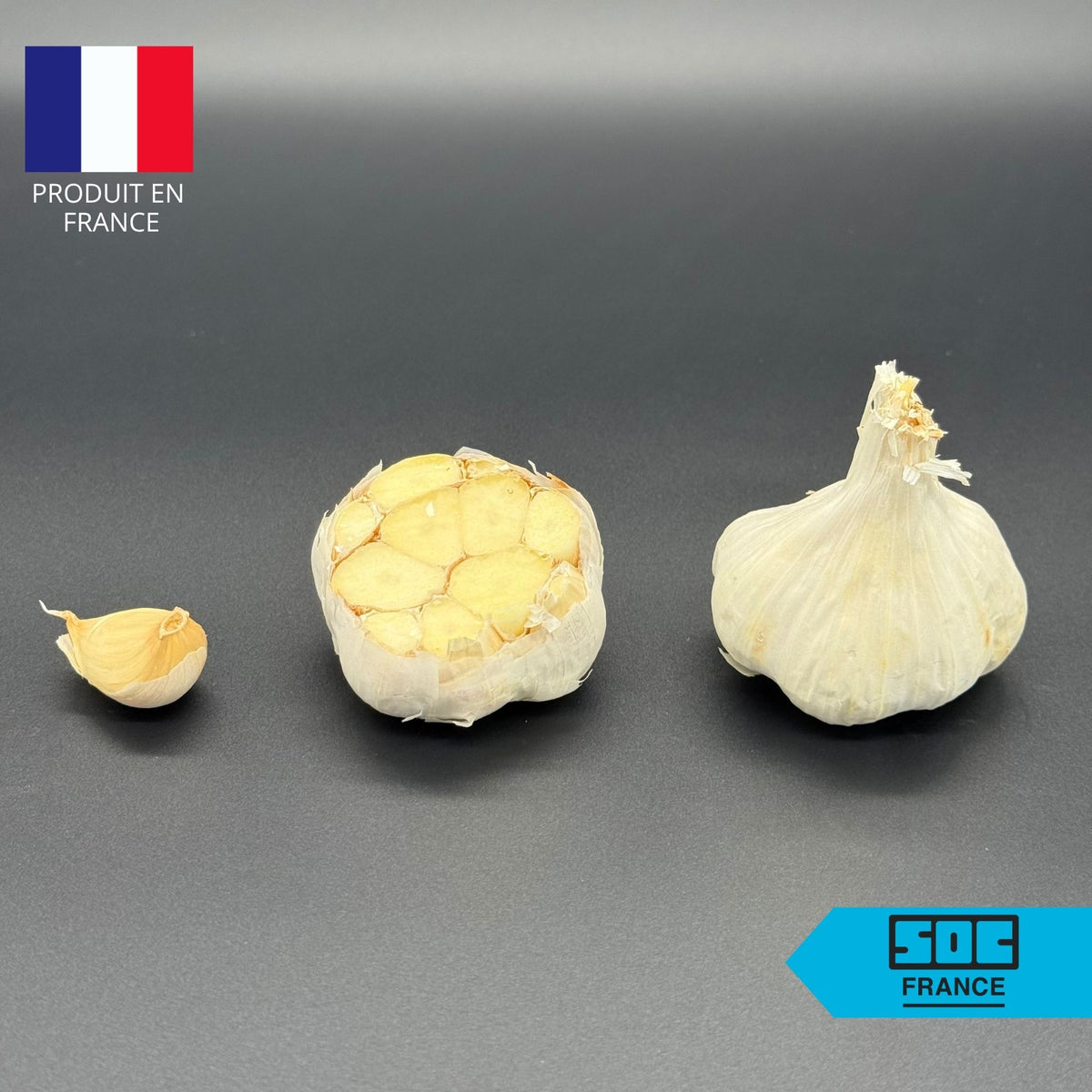 Semence d'ail Non-traité - Auxilto 45/55 en sac de 20 kg