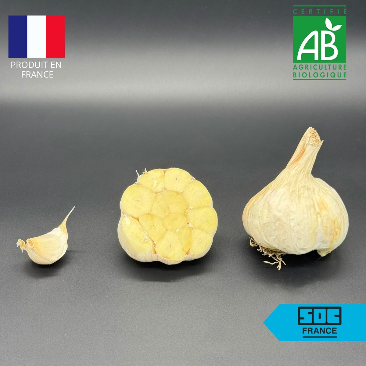 Semence d'ail certifié - Messidrôme 50-60 en sac de 5kg