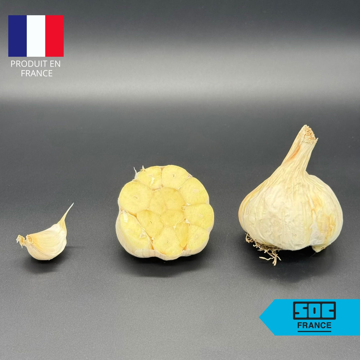 Semence d'ail Non-traité - Messidrôme 40/50 en sac de 20 kg