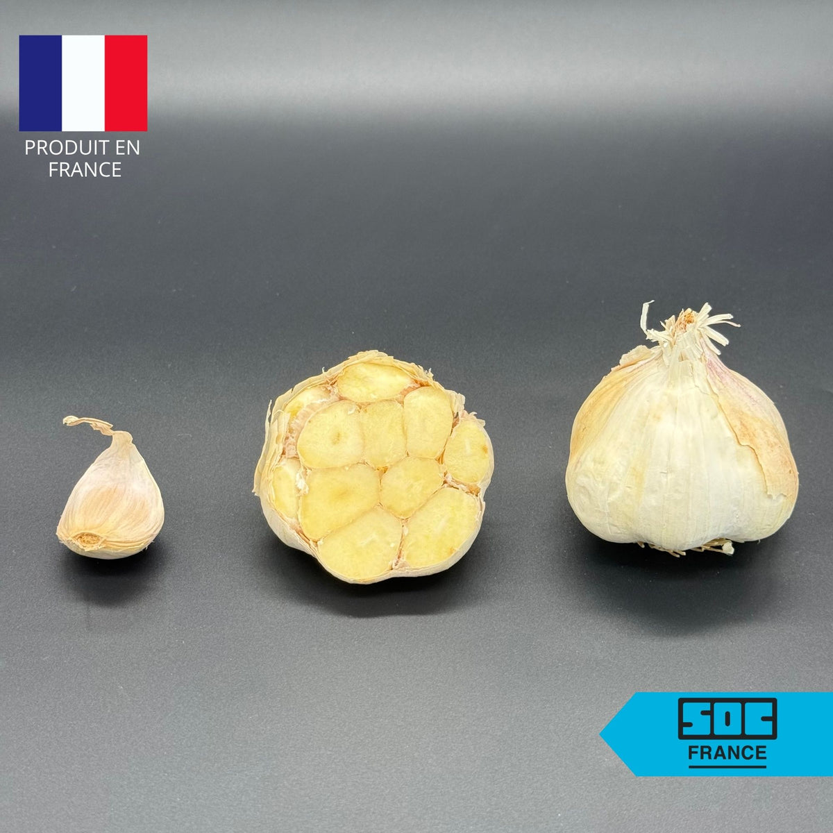 Semence d'ail Non-traité - Sabadrôme 60/50 en sac de 20 kg
