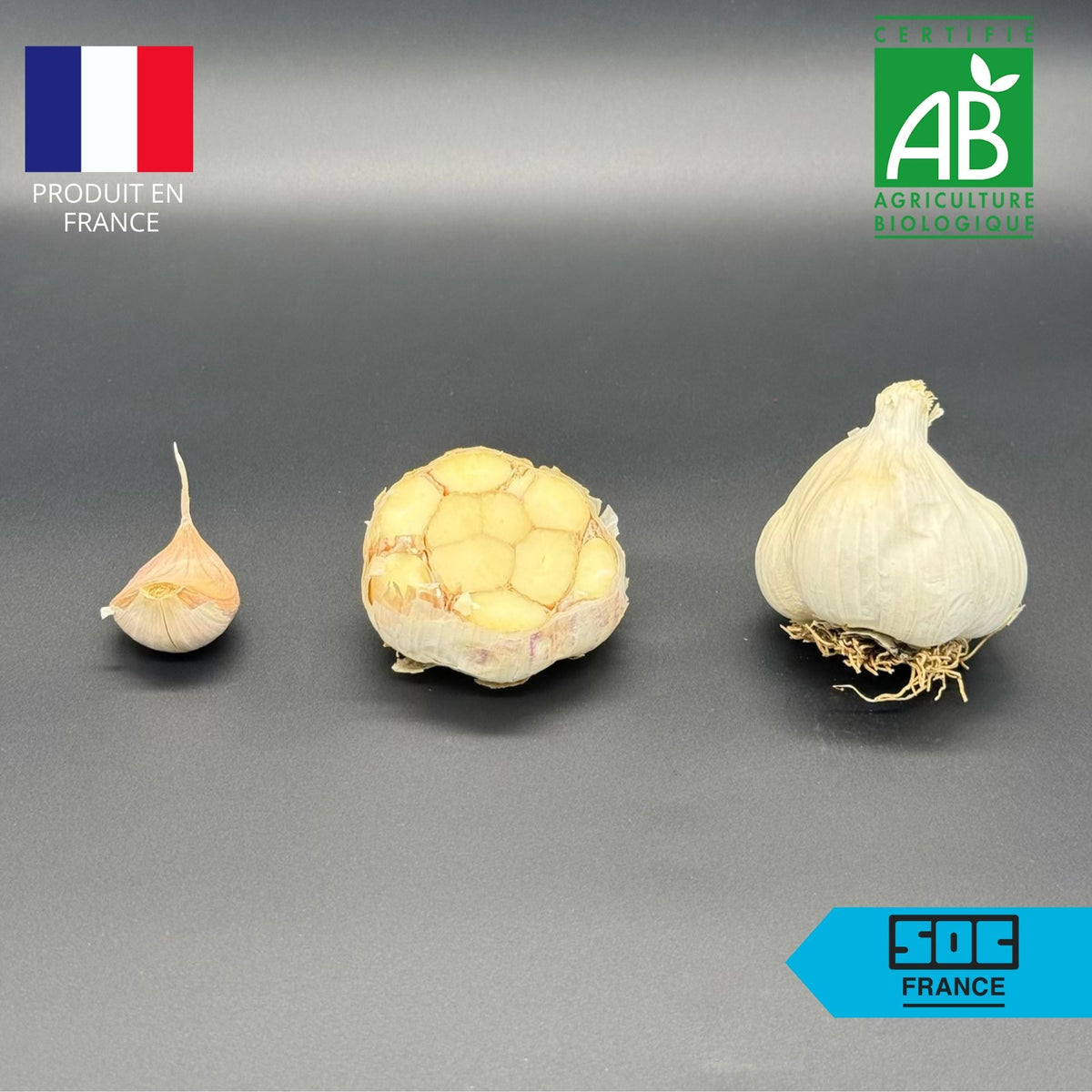Semence d'ail certifié - Thérador 50/60 en sac de 5 kg