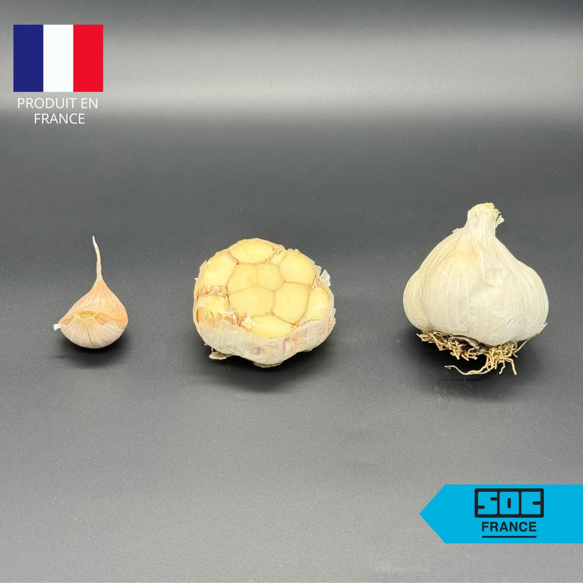 Semence d'ail Non-traité - Thérador 50/60 en sac de 20 kg