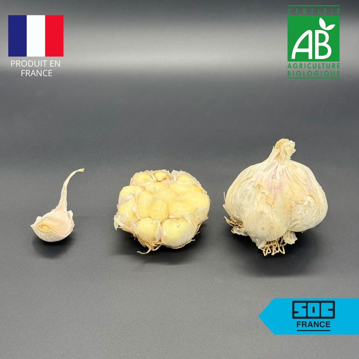 Semence d'ail certifié - Thérador 60+ en sac de 20 kg