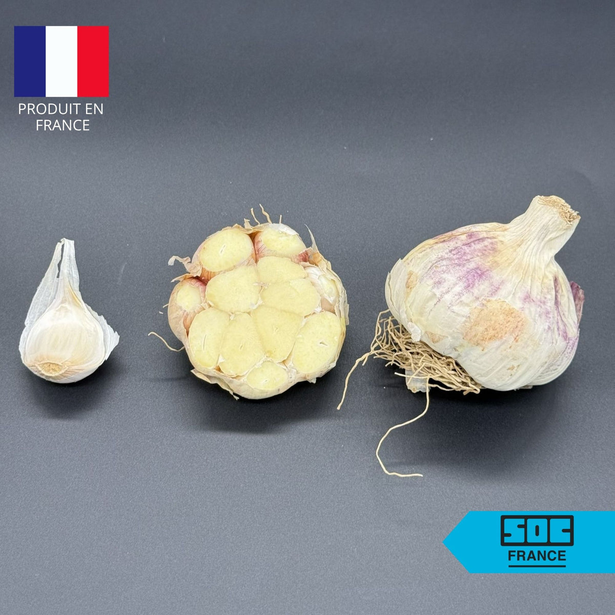 Semence d'ail Non-traité - Thermidrôme 50/60 en sac de 20 kg